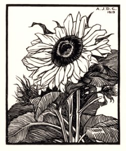 Sunflower (1919) by Julie de Graag (1877-1924).. Free illustration for personal and commercial use.