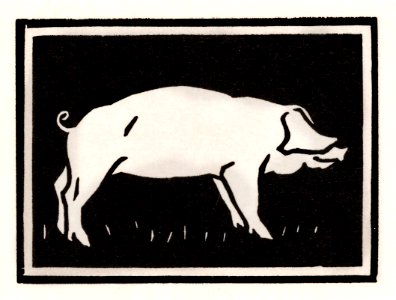 Pig (1923) by Julie de Graag (1877-1924).. Free illustration for personal and commercial use.