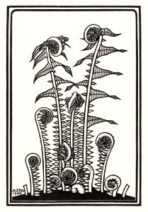 Ferns (1920) by Julie de Graag (1877-1924).. Free illustration for personal and commercial use.