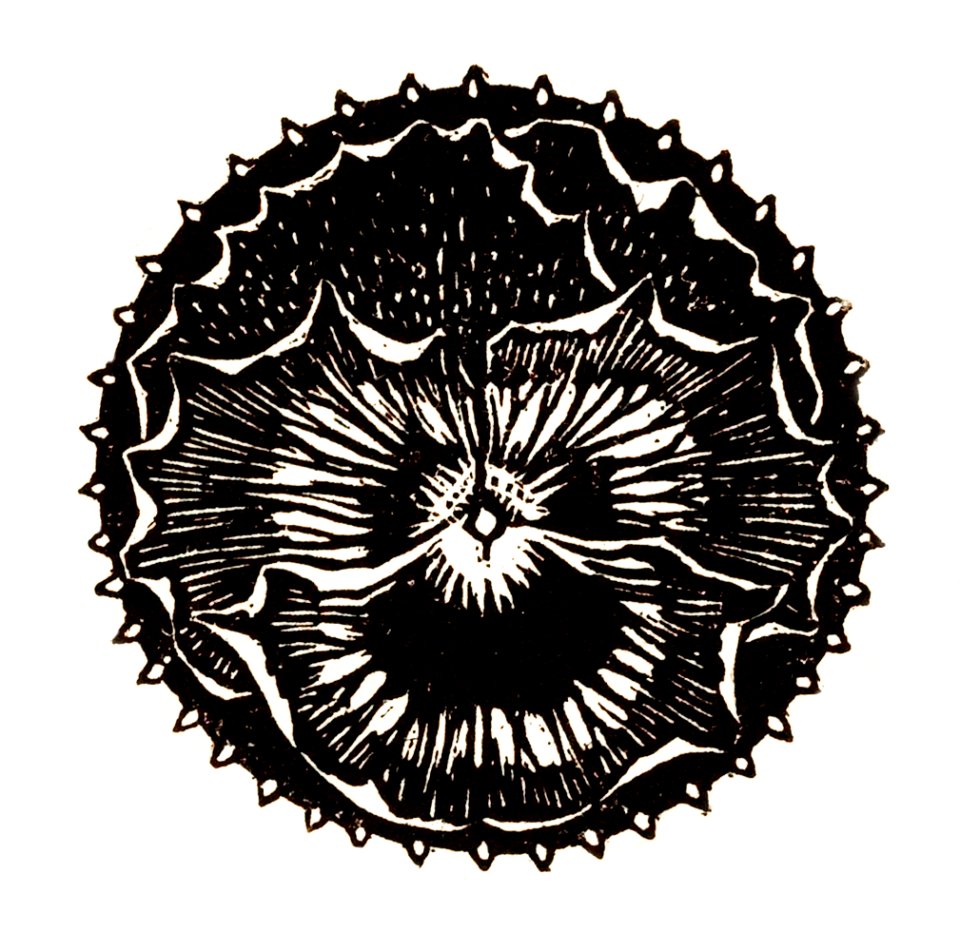 Flower badge by Julie de Graag (1877-1924).