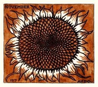 November Sunflower (1917) by JJulie de Graag (1877-1924).