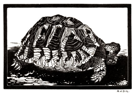 Turtle by Julie de Graag (1877-1924). Digitally enhanced by rawpixel. Free illustration for personal and commercial use.