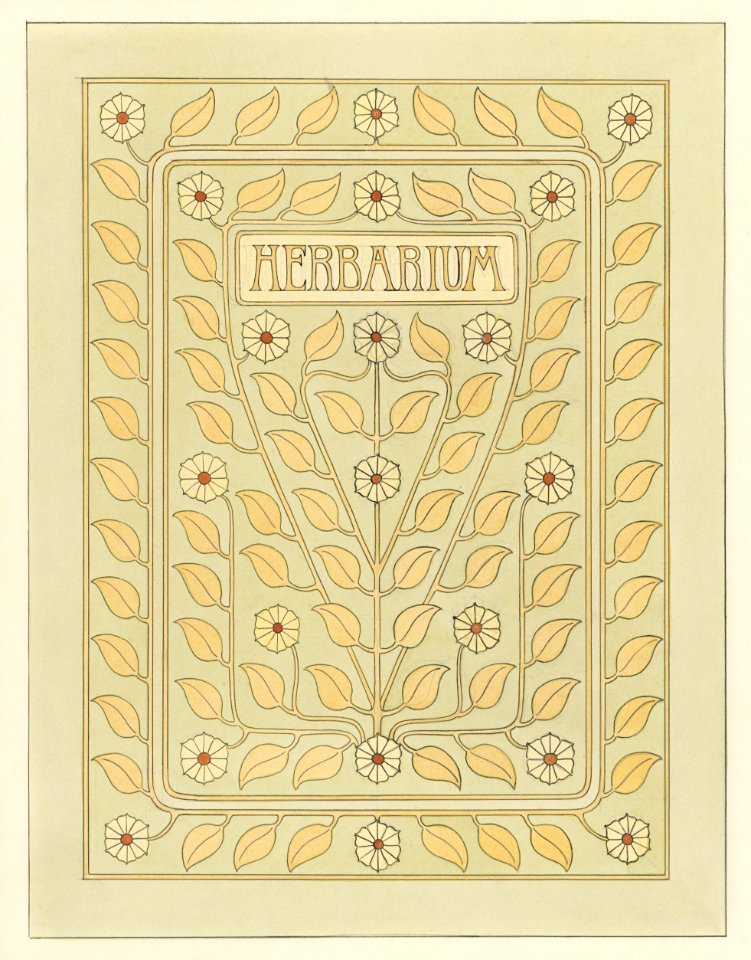 Design for Herbarium book cover by Julie de Graag (1877-1924).. Free illustration for personal and commercial use.