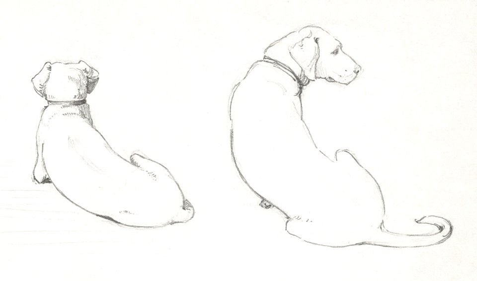 Lying dog (1894) by Julie de Graag (1877-1924).