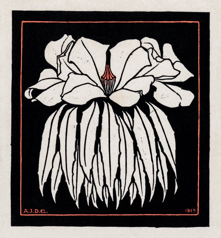 Godetia (1919) by Julie de Graag (1877-1924).