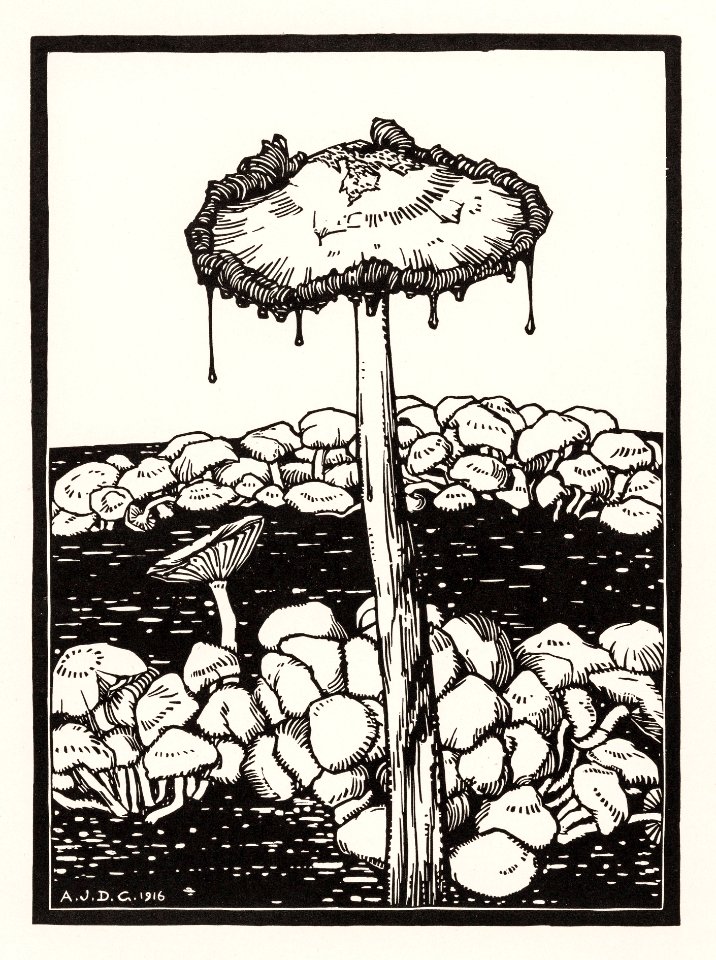 Dripping mushroom (1916) by Julie de Graag (1877-1924).