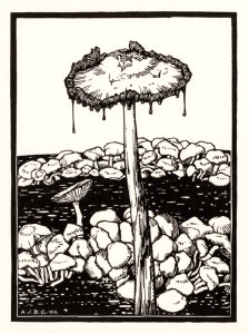 Dripping mushroom (1916) by Julie de Graag (1877-1924).. Free illustration for personal and commercial use.