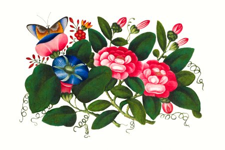 Chinese peony painting from the Qing Dynasty (1644–1911) by anonymous.