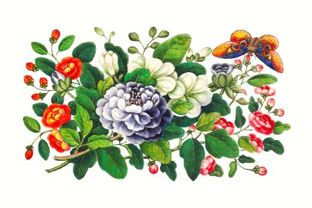 Chinese flower painting from the Qing Dynasty (1644–1911) by anonymous.. Free illustration for personal and commercial use.
