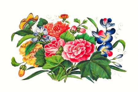 Chinese peony painting from the Qing Dynasty (1644–1911) by anonymous.. Free illustration for personal and commercial use.