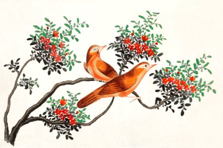 Chinese painting featuring birds of China (ca.1800–1899) from the Miriam and Ira D. Wallach Division of Art, Prints and Photographs: Art & Architecture Collection.. Free illustration for personal and commercial use.