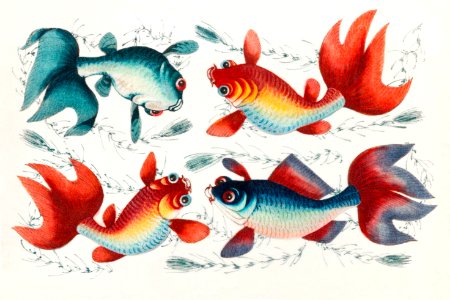 Chinese painting featuring two gold and two silver fish (ca.1800–1899) from the Miriam and Ira D. Wallach Division of Art, Prints and Photographs: Art & Architecture Collection.. Free illustration for personal and commercial use.