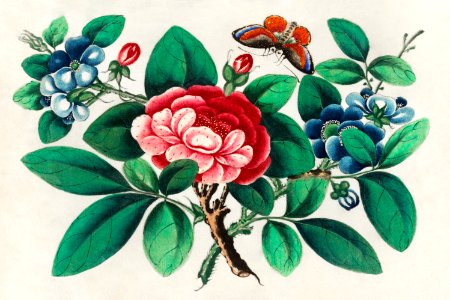 Chinese painting featuring flowers and butterfly (ca.1800–1899) from the Miriam and Ira D. Wallach Division of Art, Prints and Photographs: Art & Architecture Collection.. Free illustration for personal and commercial use.