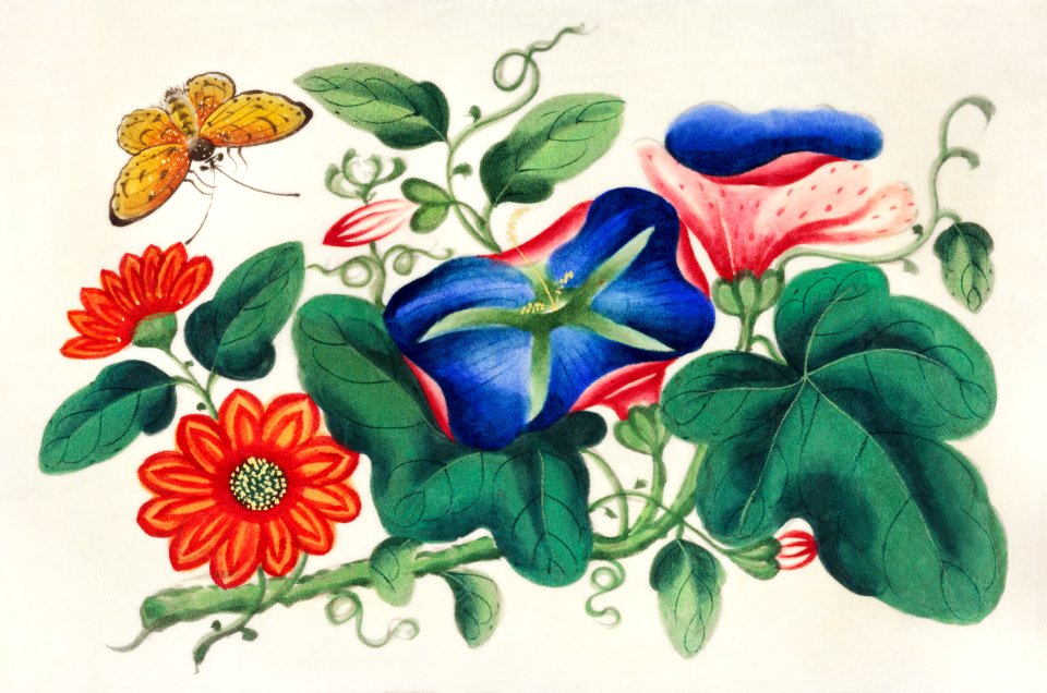 Chinese painting featuring flowers and a butterfly (ca.1800–1899) from the Miriam and Ira D. Wallach Division of Art, Prints and Photographs: Art & Architecture Collection.. Free illustration for personal and commercial use.