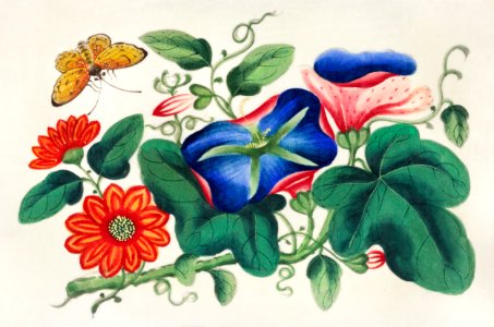 Chinese painting featuring flowers and a butterfly (ca.1800–1899) from the Miriam and Ira D. Wallach Division of Art, Prints and Photographs: Art & Architecture Collection.. Free illustration for personal and commercial use.