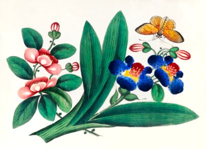 Chinese painting featuring flowers and a butterfly (ca.1800–1899) from the Miriam and Ira D. Wallach Division of Art, Prints and Photographs: Art & Architecture Collection.. Free illustration for personal and commercial use.
