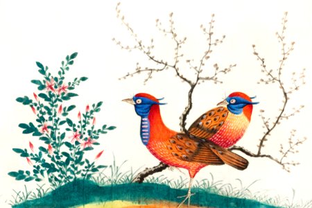 Chinese painting featuring two pheasant-like birds with flowering plants (ca.1800–1899) from the Miriam and Ira D. Wallach Division of Art, Prints and Photographs: Art & Architecture Collection.. Free illustration for personal and commercial use.