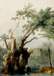 The holy tree of Metereah illustration by David Roberts (1796–1864).. Free illustration for personal and commercial use.