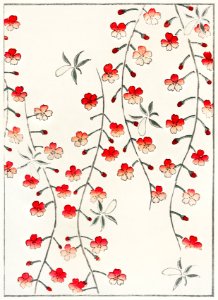 Cherry blossom illustration from Bijutsu Sekai (1893-1896) by Watanabe Seitei, a prominent Kacho-ga artist. Digitally enhanced from our own original edition.. Free illustration for personal and commercial use.