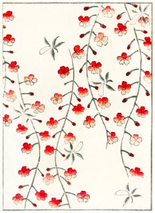 Cherry blossom illustration from Bijutsu Sekai (1893-1896) by Watanabe Seitei, a prominent Kacho-ga artist. Digitally enhanced from our own original edition.