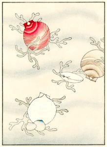 Shell fish illustration from Bijutsu Sekai (1893-1896) by Watanabe Seitei, a prominent Kacho-ga artist. Digitally enhanced from our own original edition.. Free illustration for personal and commercial use.