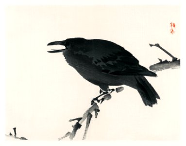 Crow by Kōno Bairei (1844-1895). Digitally enhanced from our own original 1913 edition of Barei Gakan.