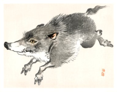 Wolf by Kōno Bairei (1844-1895). Digitally enhanced from our own original 1913 edition of Barei Gakan.. Free illustration for personal and commercial use.