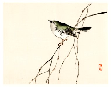 Tit by Kōno Bairei (1844-1895). Digitally enhanced from our own original 1913 edition of Bairei Gakan.. Free illustration for personal and commercial use.