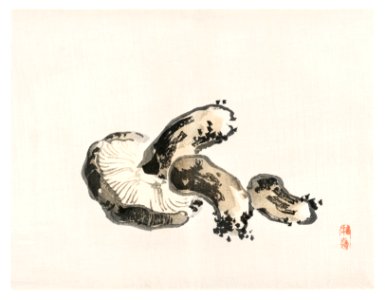 Shitake mushroom by Kōno Bairei (1844-1895). Digitally enhanced from our own original 1913 edition of Barei Gakan.
