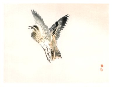 Sparrow by Kōno Bairei (1844-1895). Digitally enhanced from our own original 1913 edition of Bairei Gakan.
