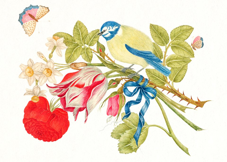 The 18th century illustration of a yellow and blue bird on bouquet with rose, tulips, and daffodils, with butterflies.