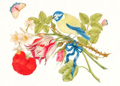 The 18th century illustration of a yellow and blue bird on bouquet with rose, tulips, and daffodils, with butterflies.