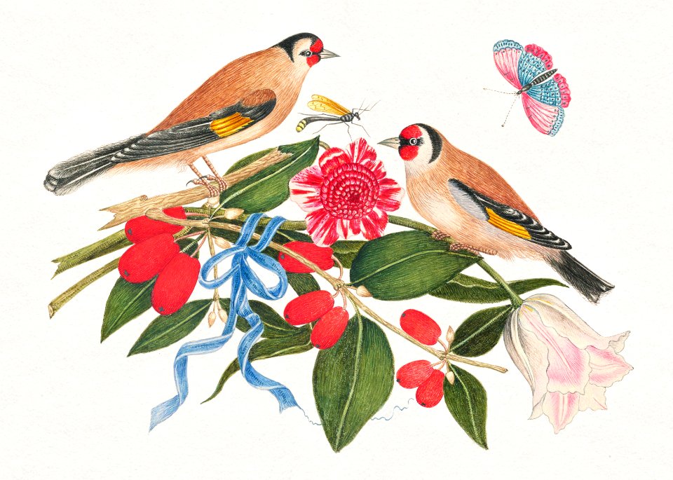 The 18th century illustration of pair of brown birds with blossoms, berries, and a butterfly.