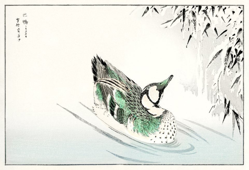 Spectacled Teal and Snow-bent Bamboo illustration from Pictorial Monograph of Birds (1885) by Numata Kashu (1838-1901). Digitally enhanced from our own original edition.