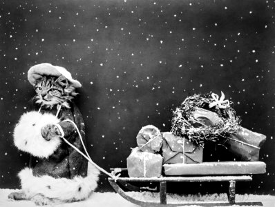 Santa Cat Still Image (1914) from The Miriam and Ira D. Wallach Division of Art, Prints and Photographs.. Free illustration for personal and commercial use.