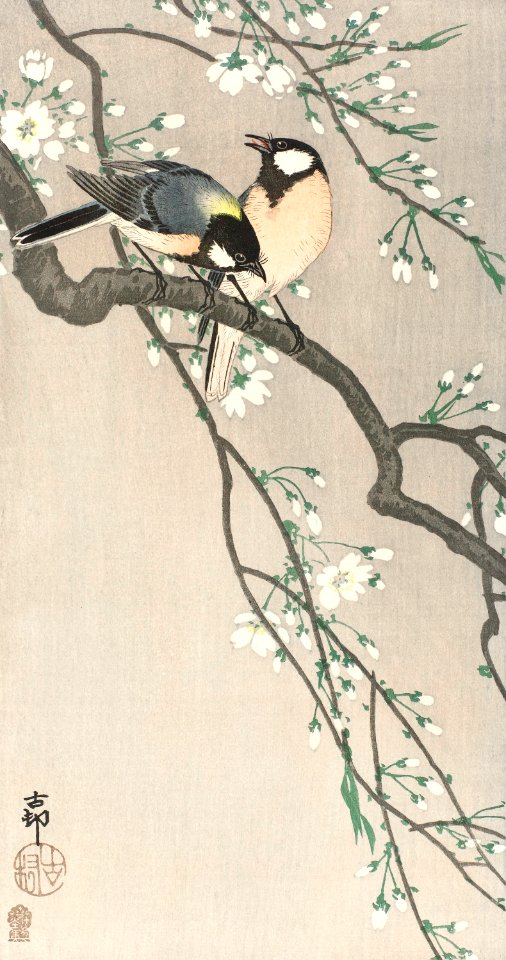 Tits on Cherry Branch (1900–1910) by Ohara Koson.