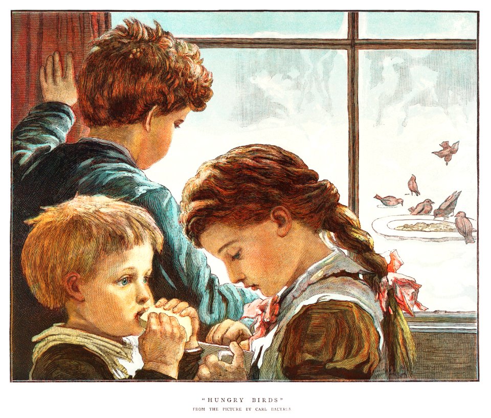 Hungry Birds (1882) from The Graphic Christmas Number 1882.