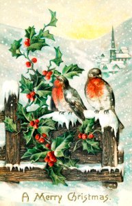 Vintage Christmas Postcard (1906) by P. Sander.