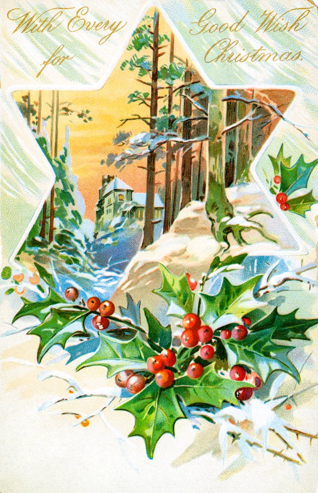 Vintage Christmas Postcard Depicting Star and Holly from The Miriam and Ira D. Wallach Division of Art, Prints and Photographs.. Free illustration for personal and commercial use.