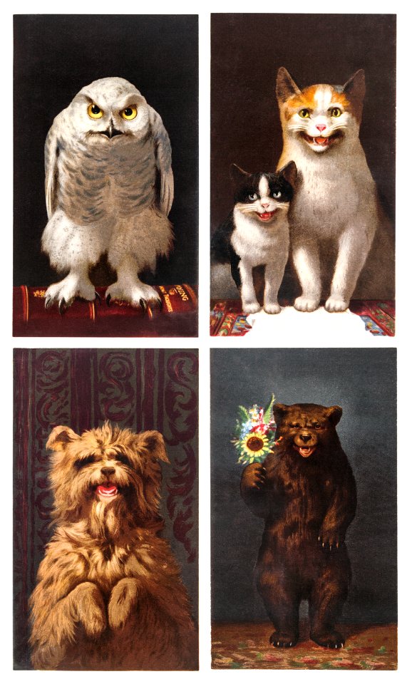 Christmas Cards Depicting Animals : Owls, Bears, Cats, and Dogs (1865–1899) by L. Prang & Co.