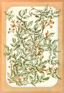 Christmas Card Depicting Botanical Ornamentation (1865–1899) by L. Prang & Co.. Free illustration for personal and commercial use.