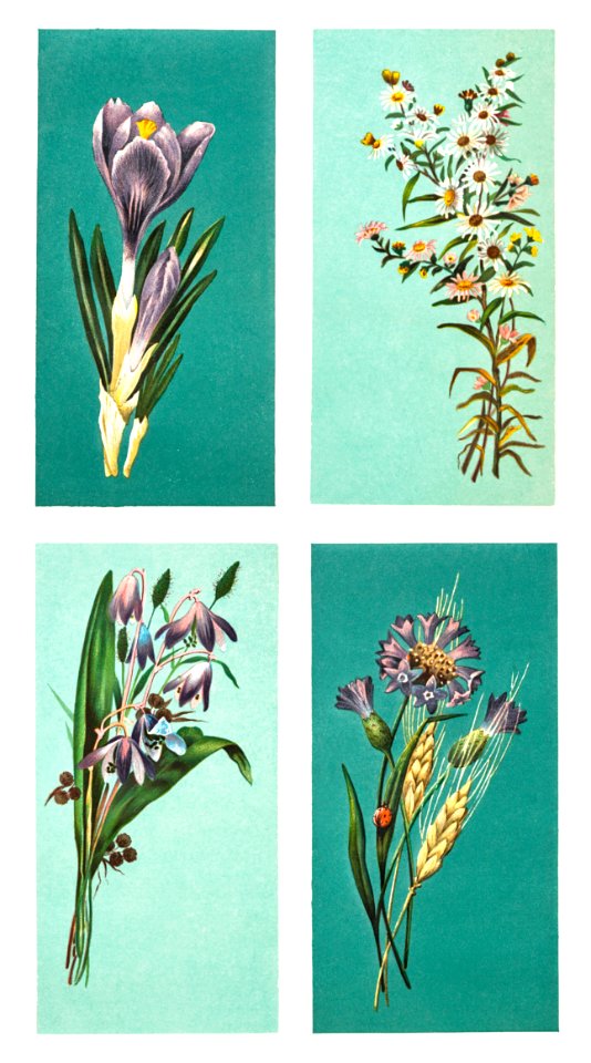 Christmas Card Depicting Flowers (1865–1899) by L. Prang & Co.