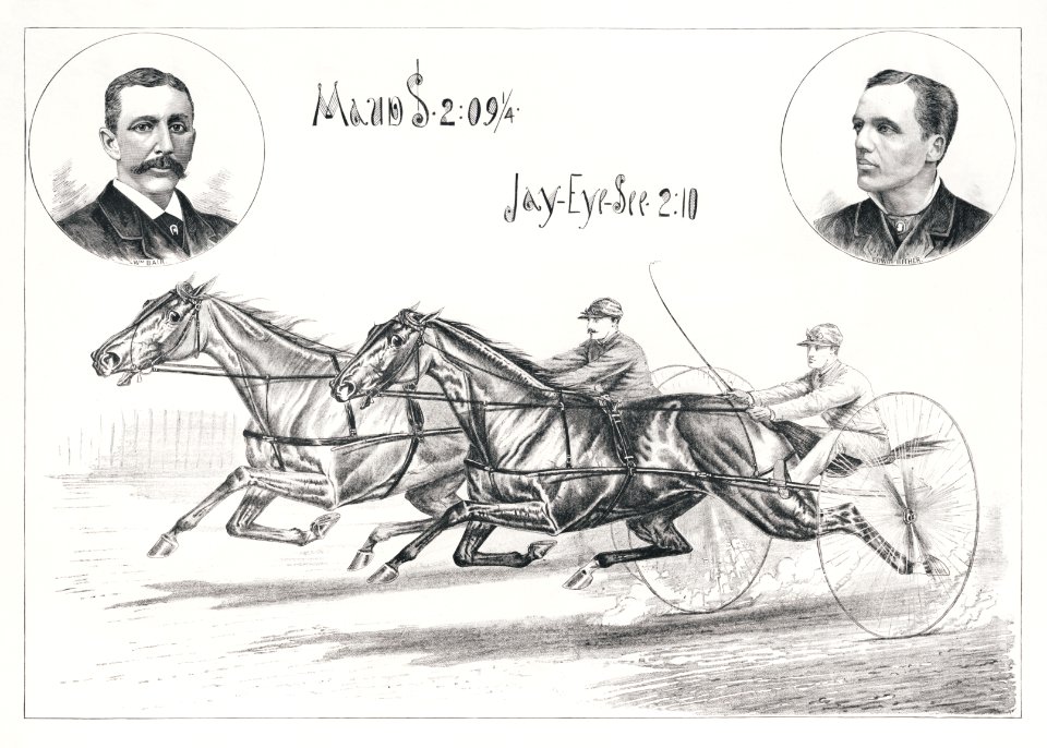 Horses Illustration (1884) by Henry Stull.