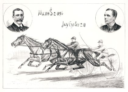 Horses Illustration (1884) by Henry Stull.. Free illustration for personal and commercial use.