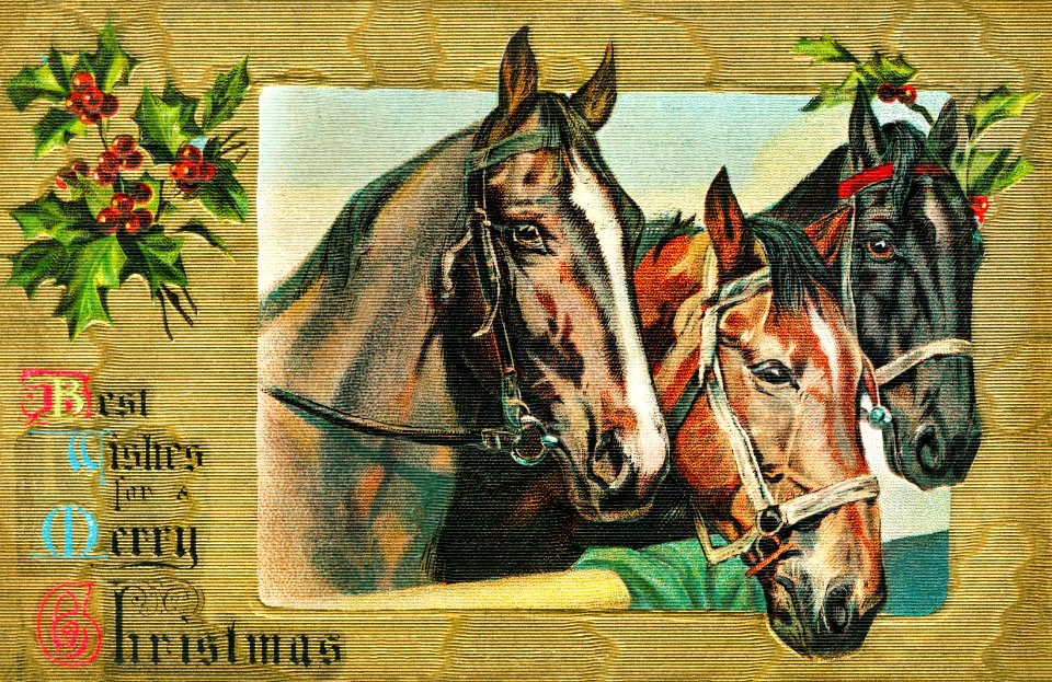 Best Wishes for a Merry Christmas (1908) from The Miriam and Ira D. Wallach Division of Art, Prints and Photographs.