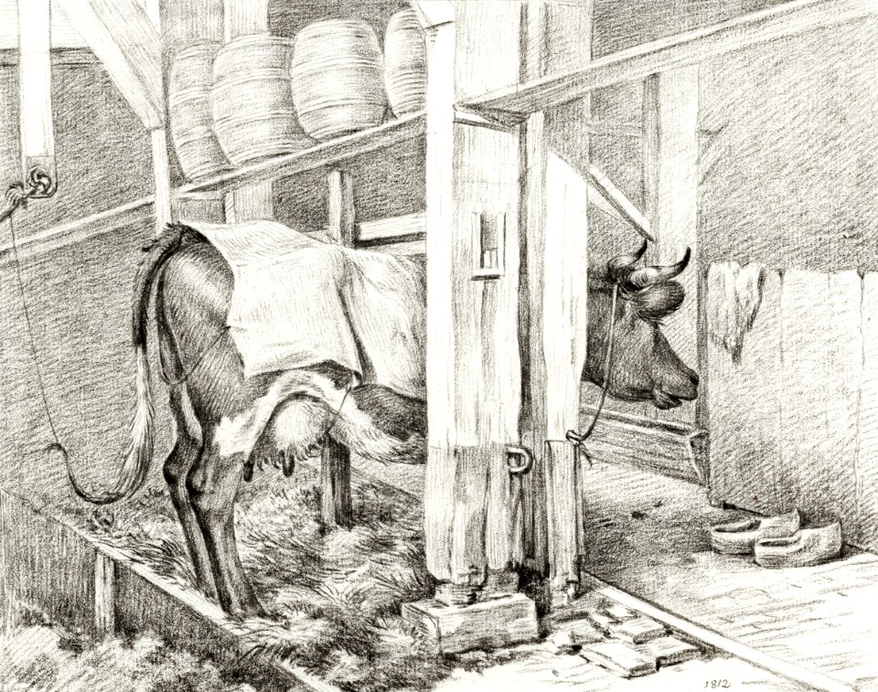 Standing cow with a blanket (1812) by Jean Bernard (1775-1883).