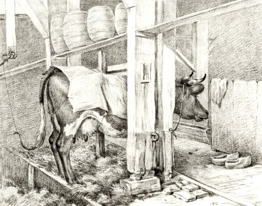 Standing cow with a blanket (1812) by Jean Bernard (1775-1883).. Free illustration for personal and commercial use.
