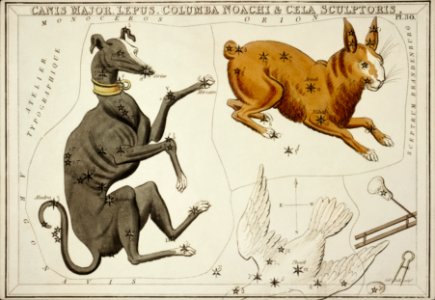 Sidney Hall’s (1831) astronomical chart illustration of the Canis Major, Lepus, Columba Noachi and the Cela Sculptoris.. Free illustration for personal and commercial use.
