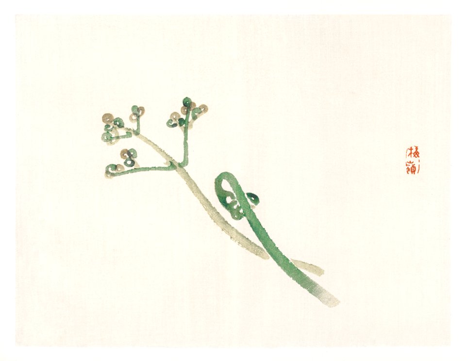 Blossom by Kōno Bairei (1844-1895). Digitally enhanced from our own original 1913 edition of Bairei Gakan.