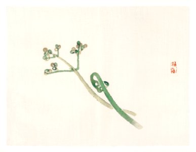 Blossom by Kōno Bairei (1844-1895). Digitally enhanced from our own original 1913 edition of Bairei Gakan.